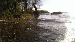 Summer Lakeshore @ Killinure Point