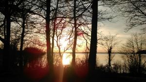 image-9eb56db97f729730782d28f235c87bf468502576f88d6c635d8d3f9adfbd2751-V